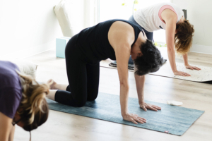 Photo of yoga students in cat pose