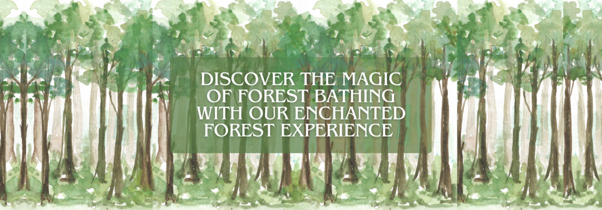 Image of a forest, overlayed with "Discover the magic of forest bathing with our Enchanted Forest Experience."