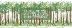 Image of a forest, overlayed with "Discover the magic of forest bathing with our Enchanted Forest Experience."