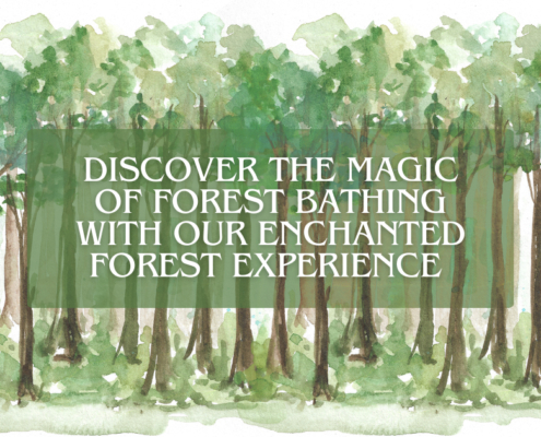 Image of a forest, overlayed with "Discover the magic of forest bathing with our Enchanted Forest Experience."