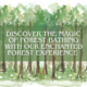 Image of a forest, overlayed with "Discover the magic of forest bathing with our Enchanted Forest Experience."
